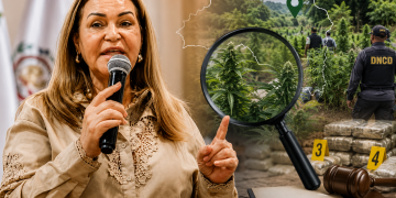 Josefa Oliva Castillo pide concluir la investigación sobre las plantaciones de marihuana encontradas en San José de Ocoa.